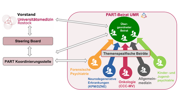 Organisationsstruktur mit Vorstand, Steering Board, PART Koordinierungsstelle und themenspezifischen Beiräten zu Forensischer Psychiatrie, Neurodegenerativen Erkrankungen, Onkologie, Allgemeinmedizin sowie Kinder- und Jugendpsychiatrie