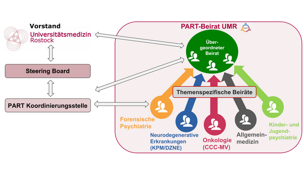 Organisationsstruktur mit Vorstand, Steering Board, PART Koordinierungsstelle und themenspezifischen Beiräten zu Forensischer Psychiatrie, Neurodegenerativen Erkrankungen, Onkologie, Allgemeinmedizin sowie Kinder- und Jugendpsychiatrie